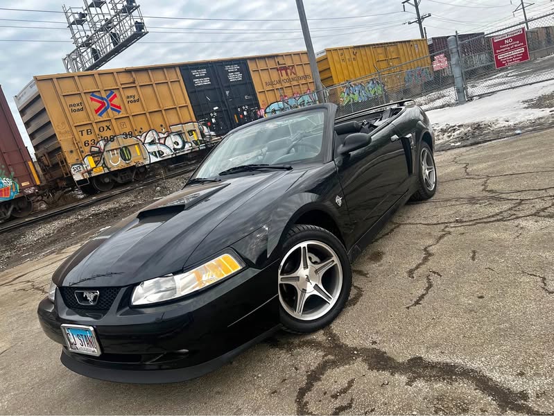 1999 Ford Mustang - GT Deluxe Convertible 2D