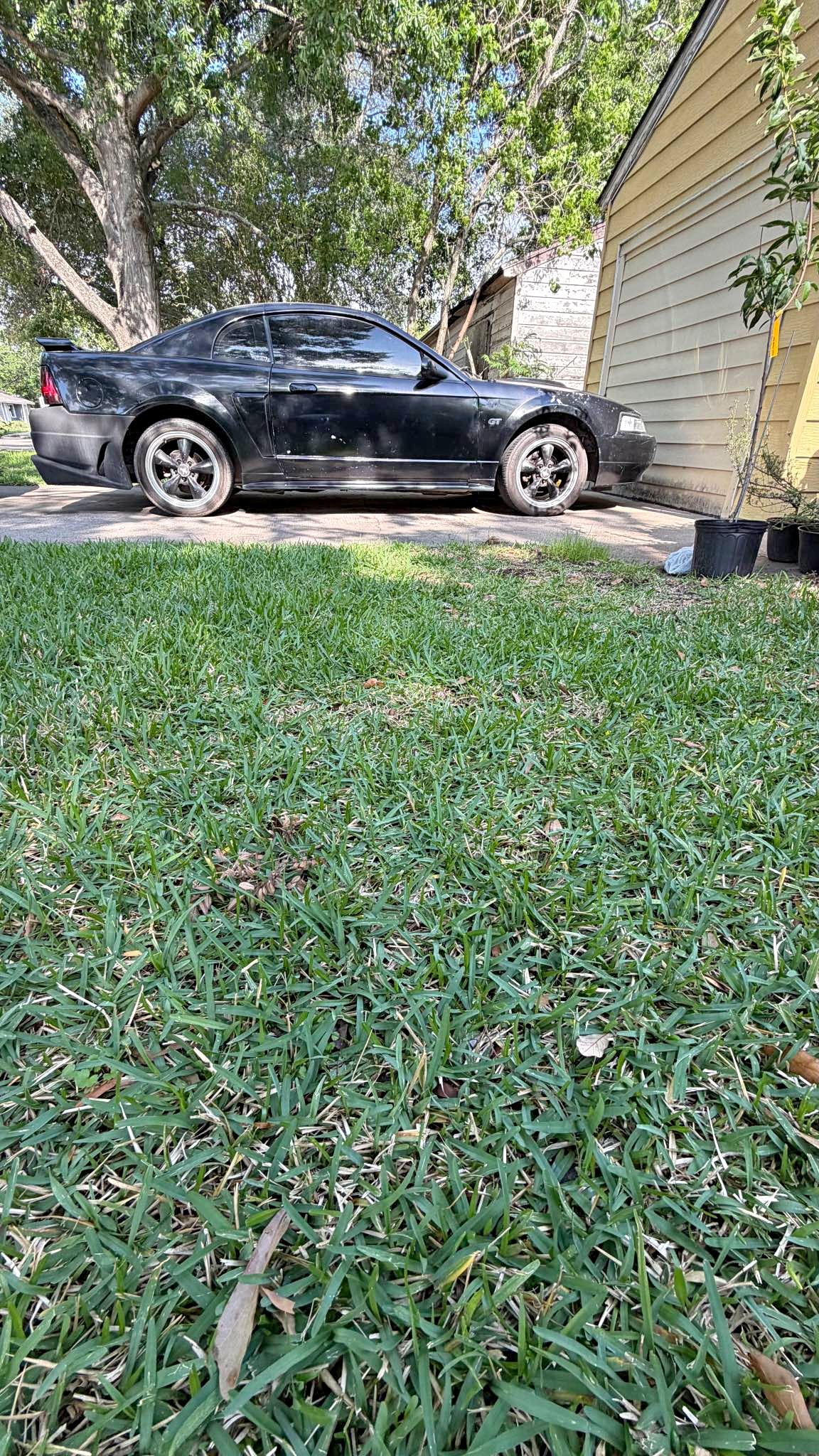 2002 Ford Mustang - premium