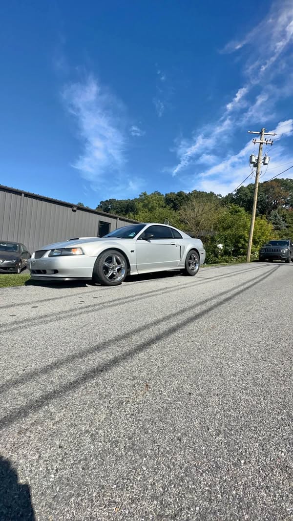 2000 Ford Mustang - GT Coupe 2D