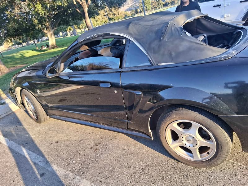 2001 Ford Mustang - LX Convertible 2D