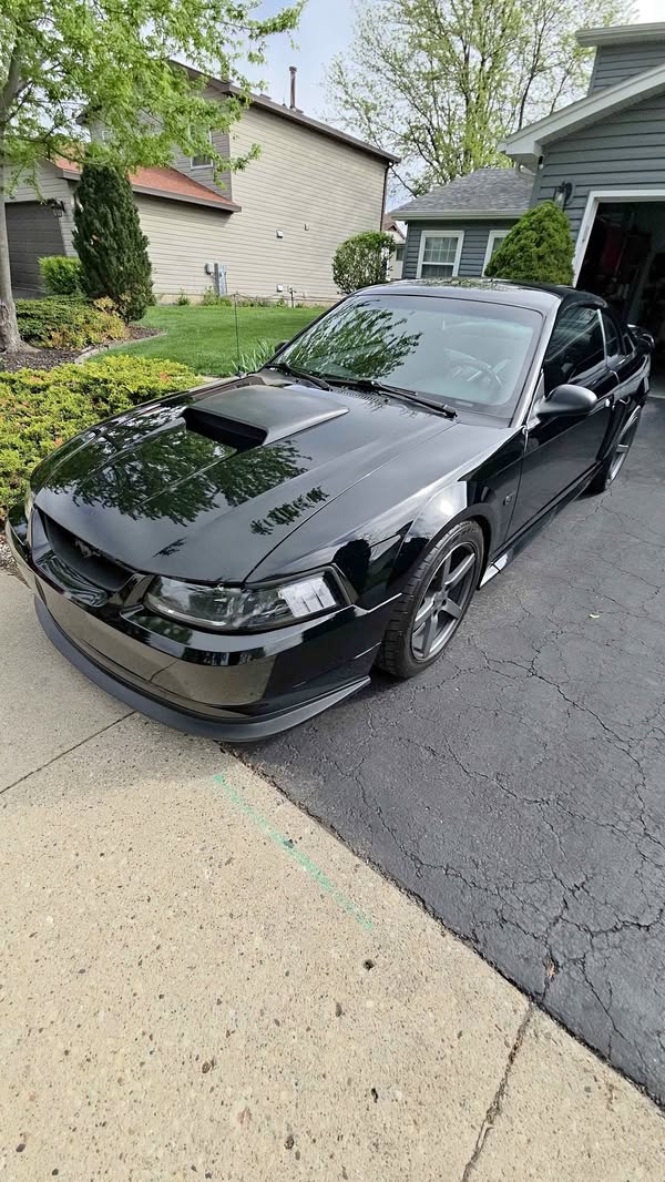 2002 Ford Mustang - GT Coupe 2D