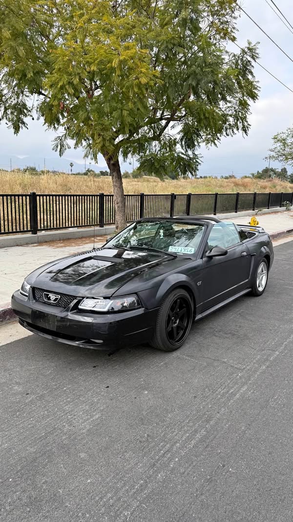 2000 Ford Mustang - GT Convertible 2D