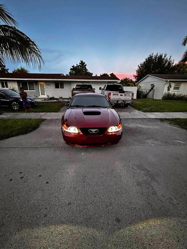 2004 Ford Mustang - Coupe 2D