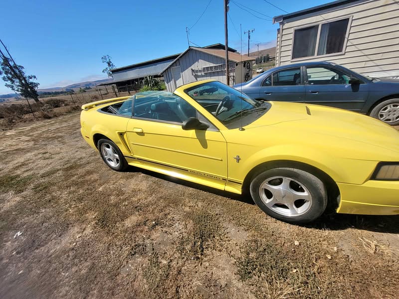 2001 Ford Mustang - Convertible 2D