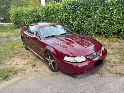 2004 Ford Mustang - 5-speed Manual\/ Rear Wheel drive