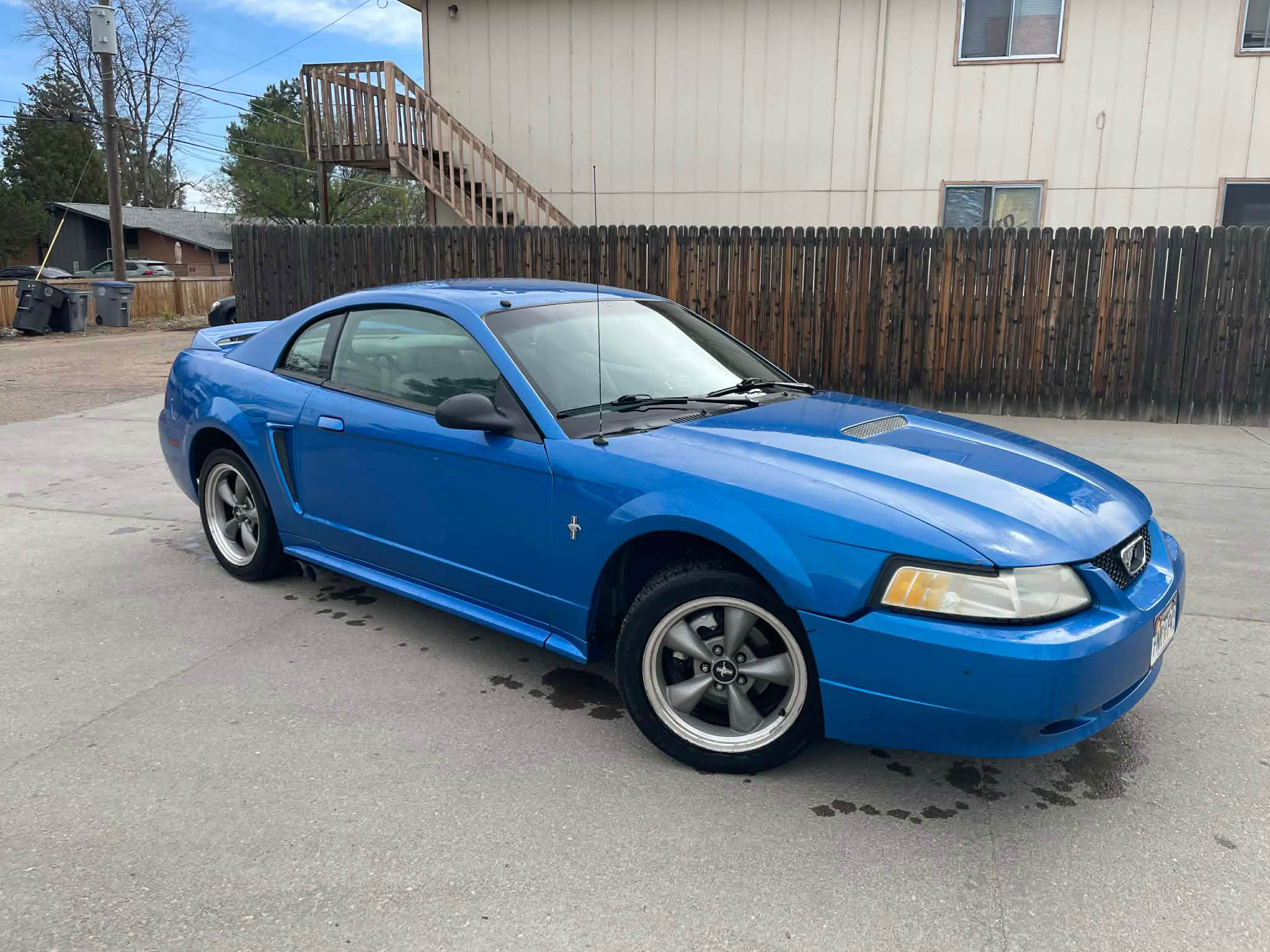 2000 Ford Mustang - New edge \ufffc