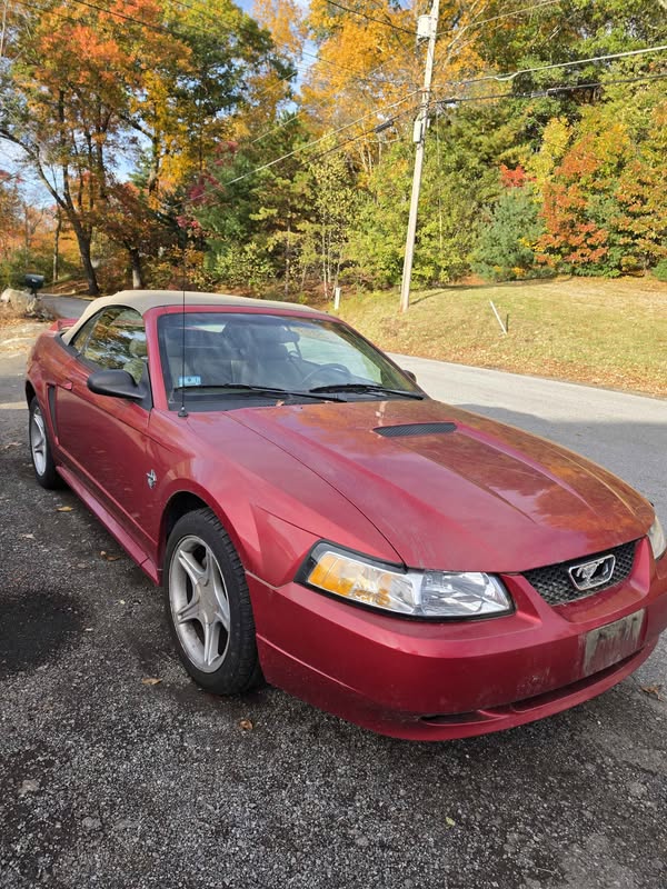 1999 Ford Mustang - GT Convertible 2D