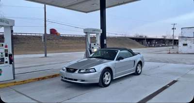 2004 Ford Mustang - Convertible 2D