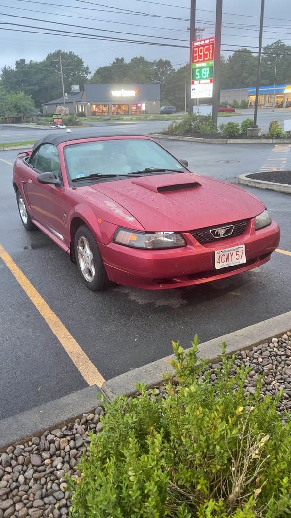 2003 Ford Mustang - V6 Convertible 2D