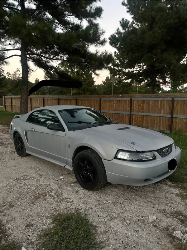 2002 Ford Mustang - V6 Manual
