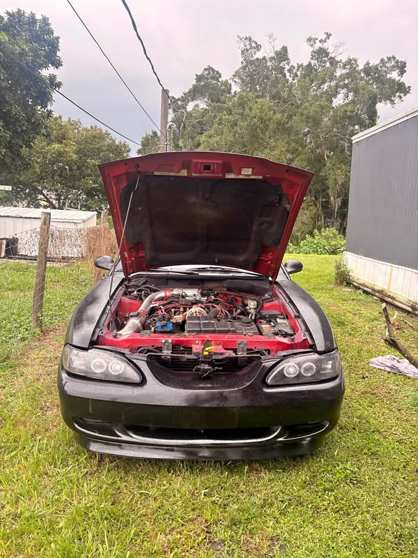 1998 Ford Mustang - Gt