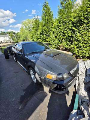 2000 Ford Mustang - GT Coupe 2D