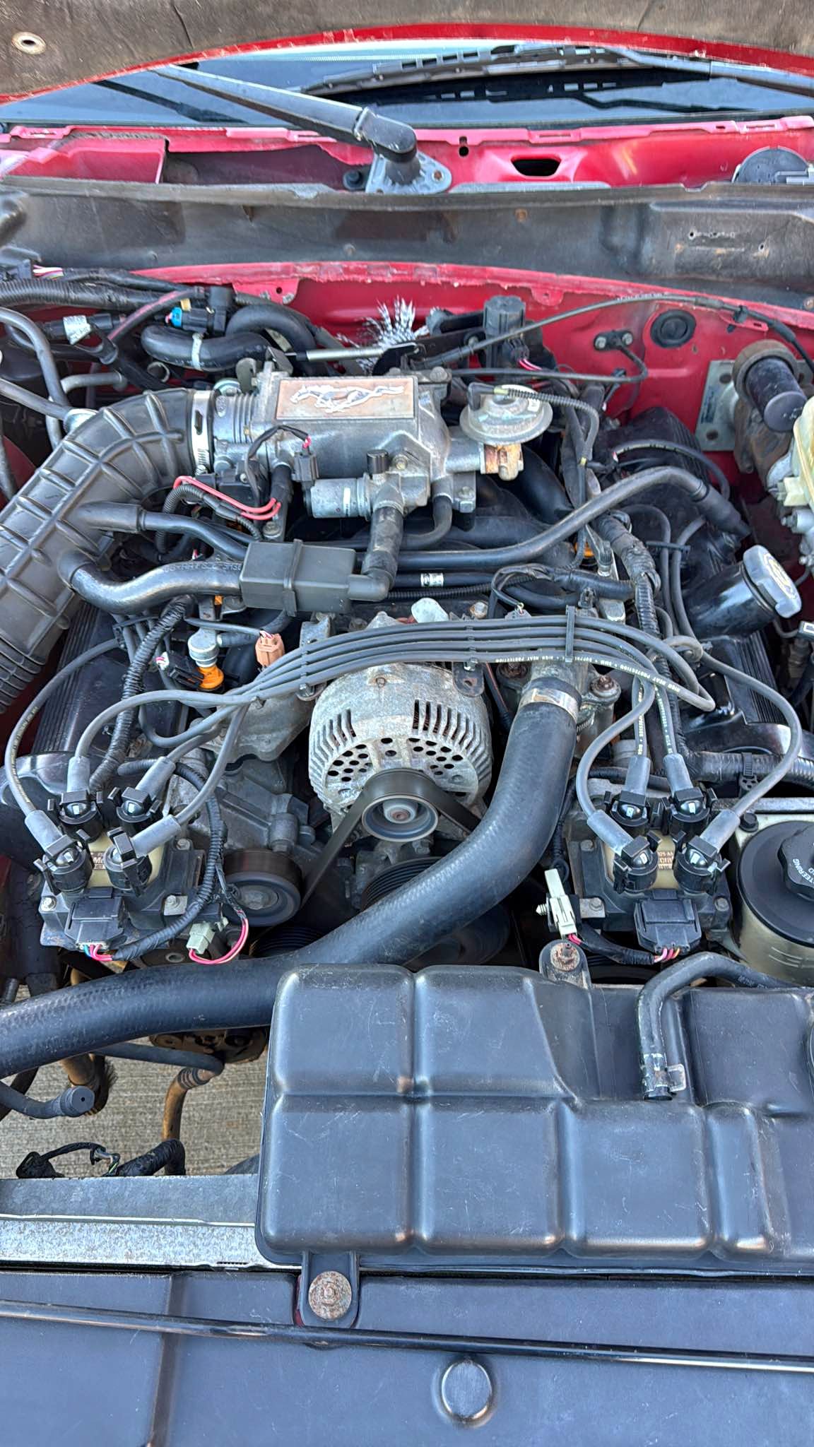 1998 Ford Mustang - GT Coupe 2D