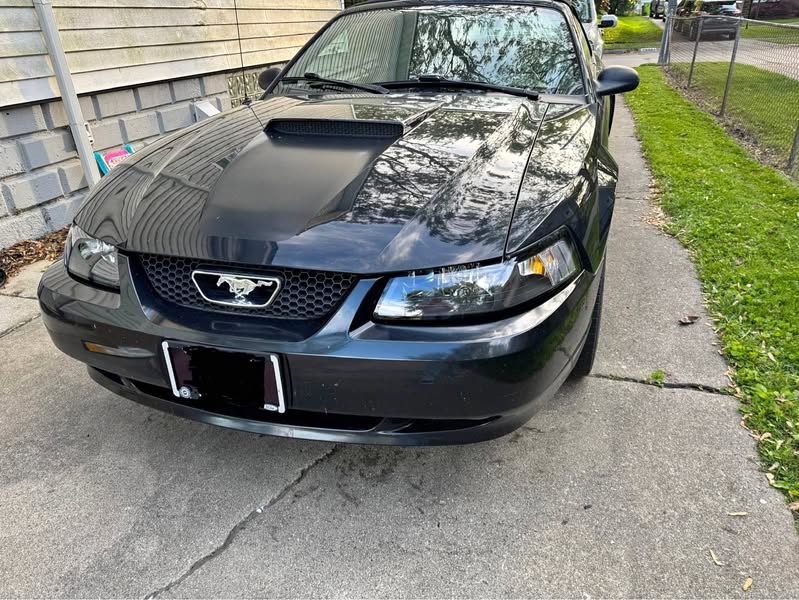 1999 Ford Mustang - GT Premium Convertible 2D