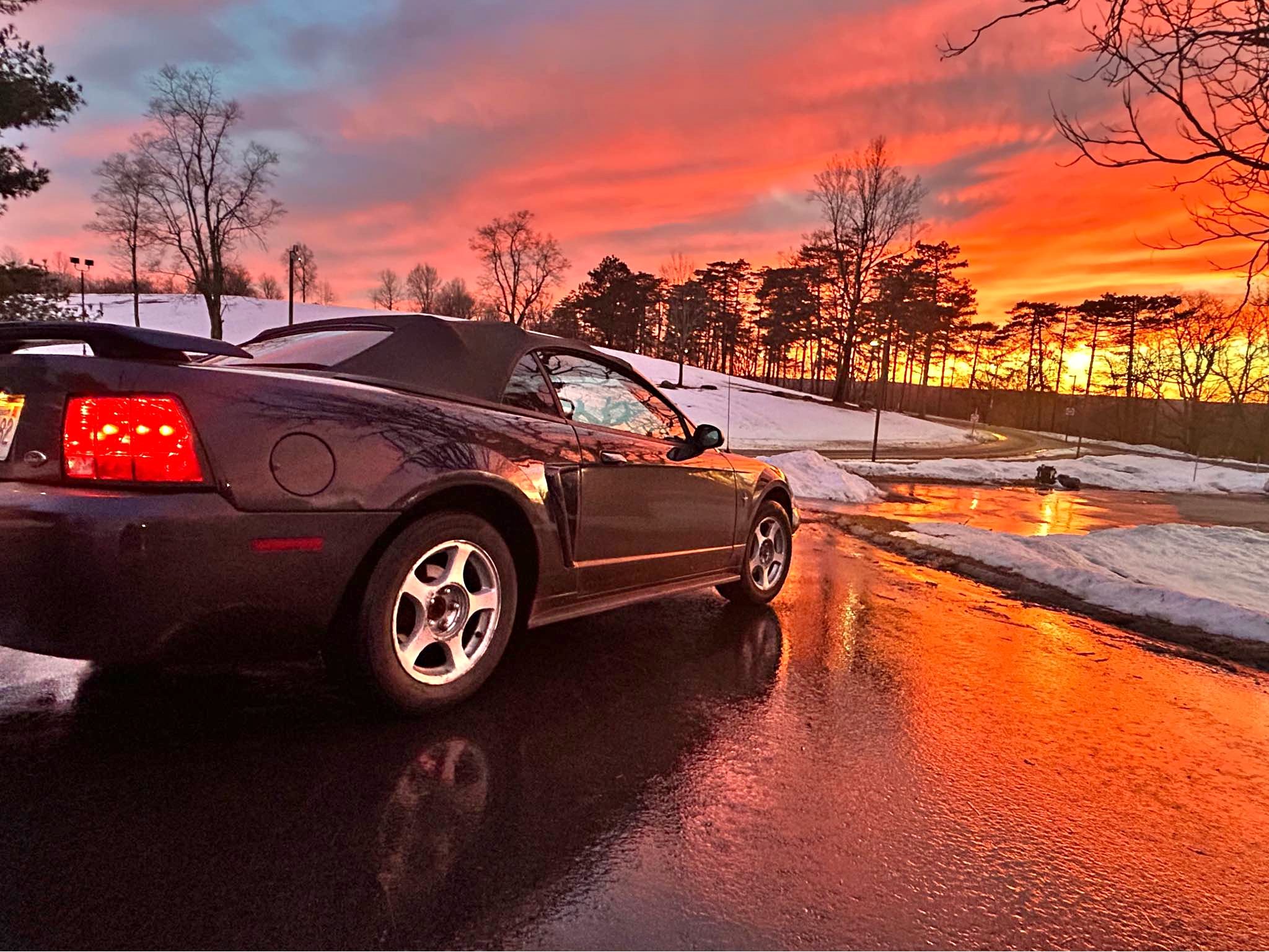 2002 Ford Mustang - 2D