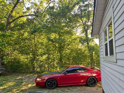 1994 Ford Mustang - Cobra Coupe 2D