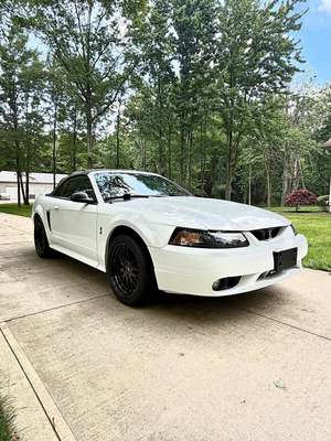 1999 Ford Mustang - Cobra SVT Convertible 2D