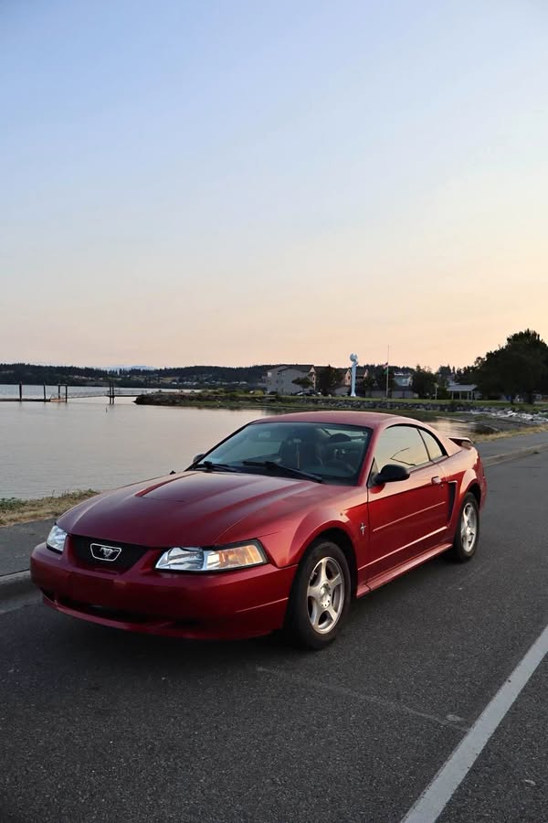 2003 Ford Mustang - V6 Coupe 2D