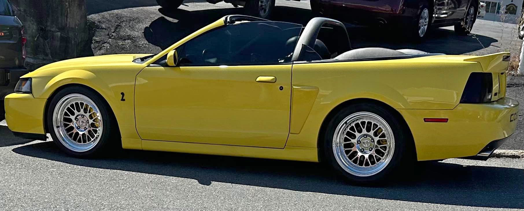 2003 Ford Mustang - Cobra SVT Convertible 2D