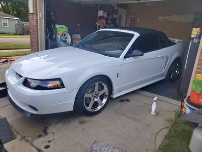 2001 Ford Mustang - Cobra Convertible 2D