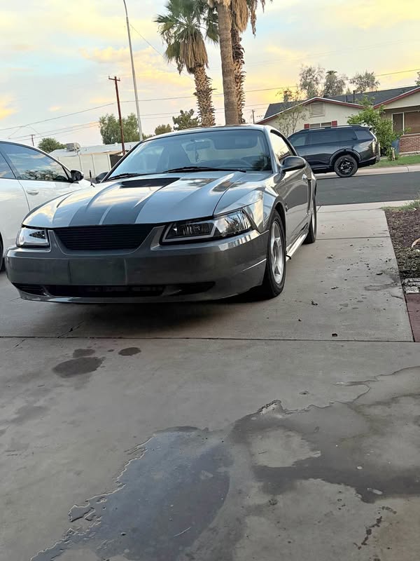 2000 Ford Mustang - Coupe 2D