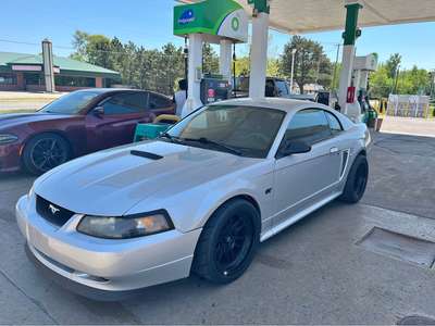 2000 Ford Mustang - Gt