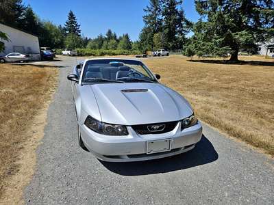 2001 Ford Mustang - Base model