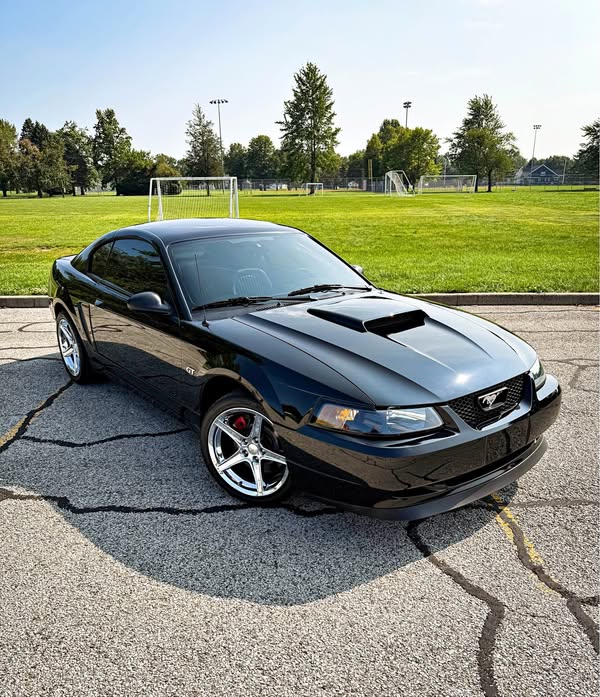 2001 Ford Mustang - BULLITT Coupe 2D