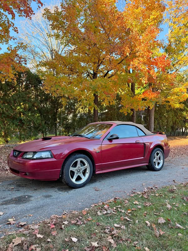 2004 Ford Mustang - Gt