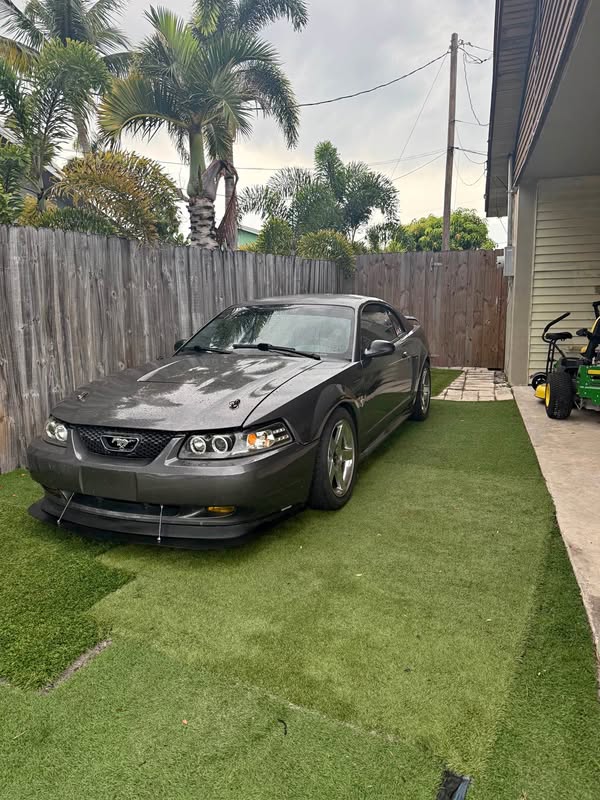 2003 Ford Mustang - Coupe 2D