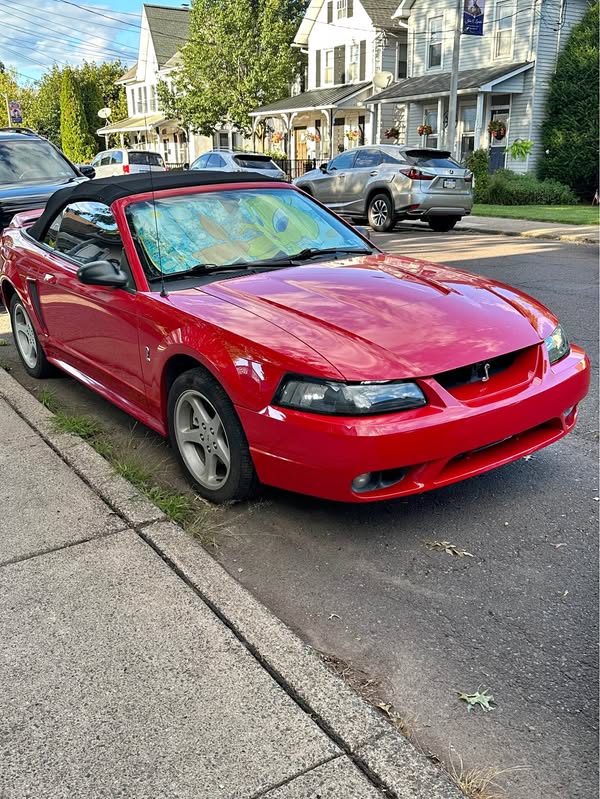 1999 Ford Mustang - Cobra SVT Convertible 2D