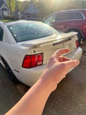 2003 Ford Mustang - Coupe 2D
