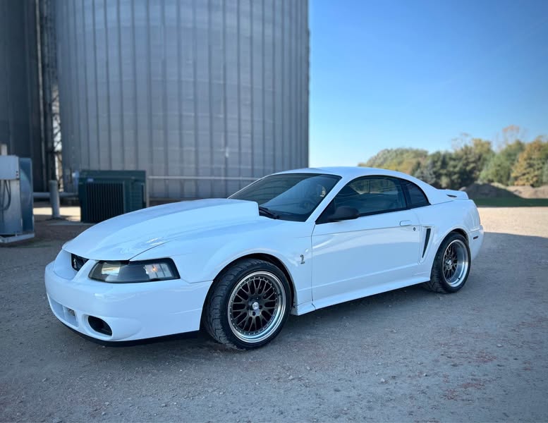 1999 Ford Mustang - Cobra SVT Coupe 2D