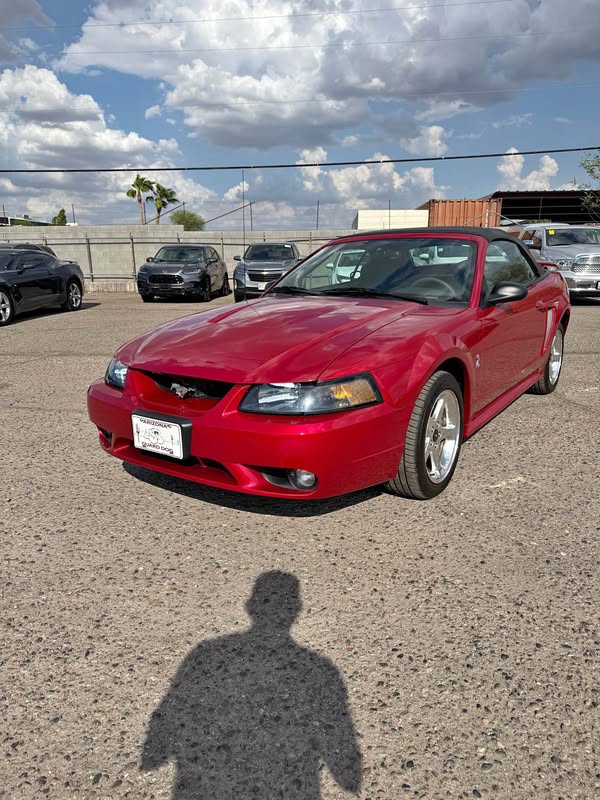2001 Ford Mustang - Cobra