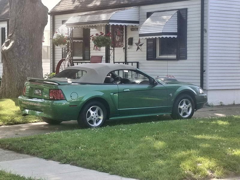 1999 Ford Mustang - Convertible 2D