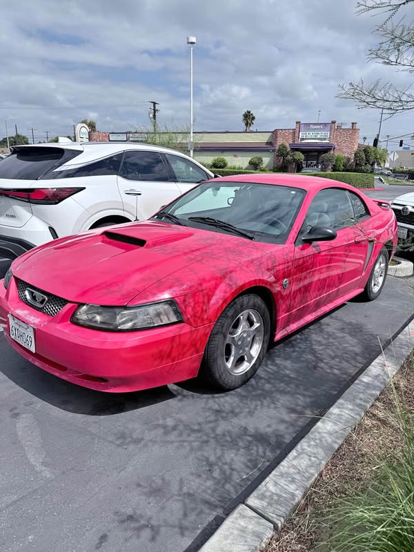 2004 Ford Mustang - V6 Coupe 2D