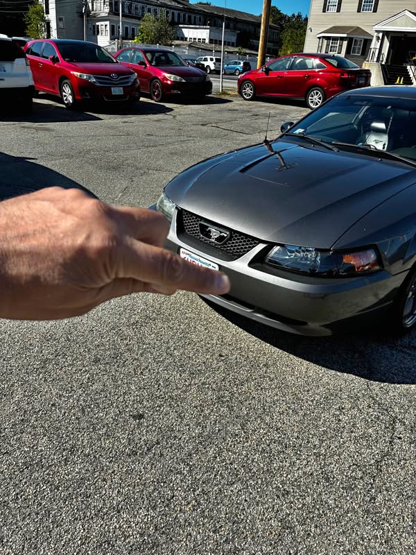 2004 Ford Mustang - V6 Coupe 2D