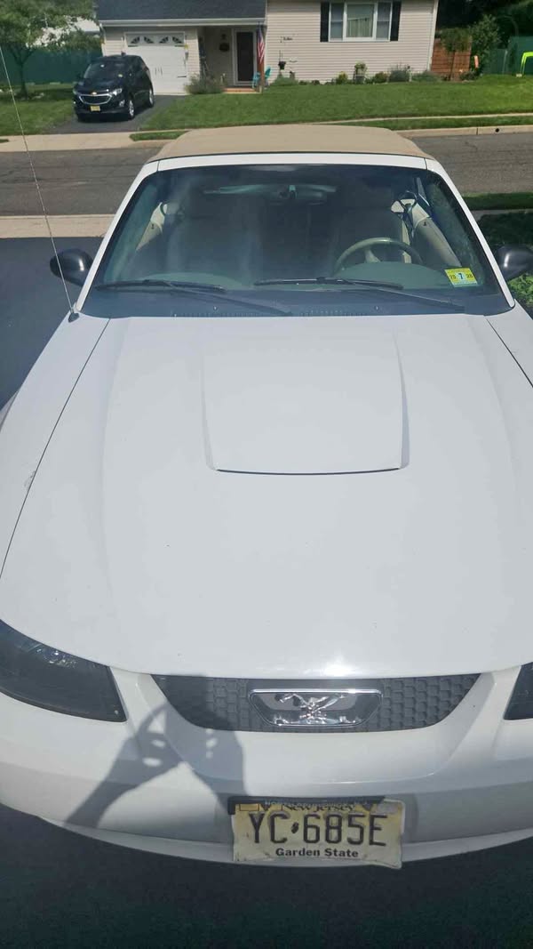 2003 Ford Mustang - Deluxe Convertible 2D
