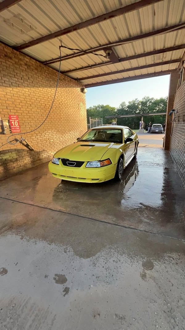 2001 Ford Mustang - Coupe 2D