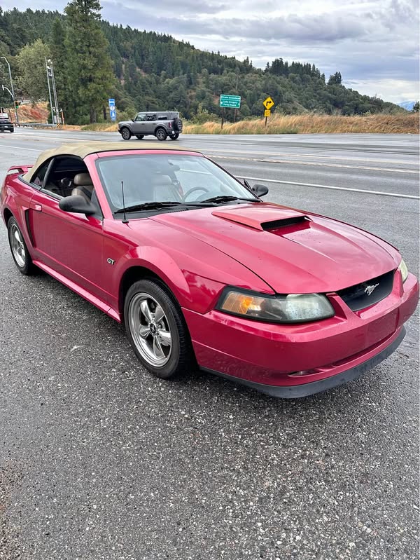 2002 Ford Mustang - GT Premium Convertible 2D