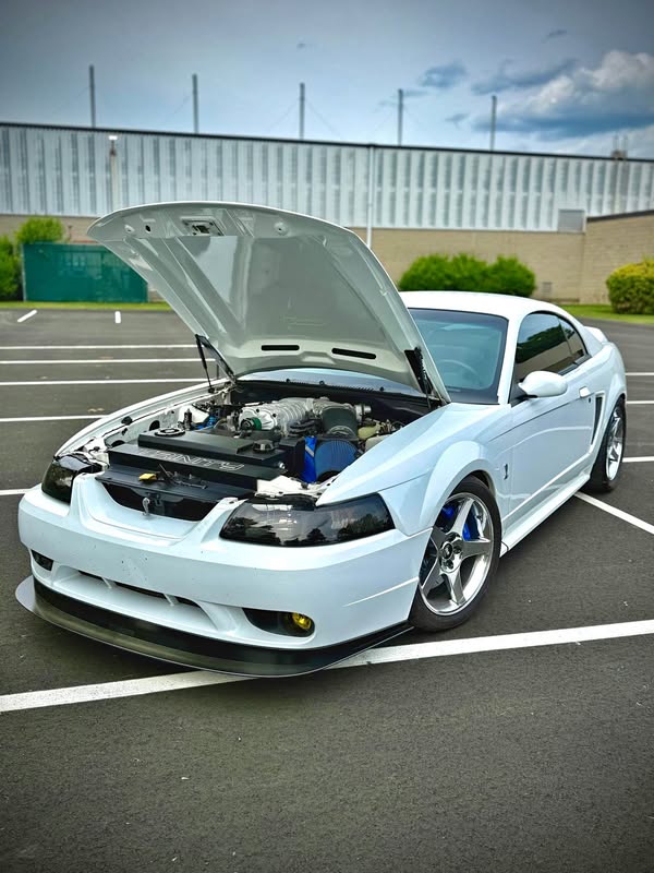 1999 Ford Mustang - Cobra SVT Coupe 2D
