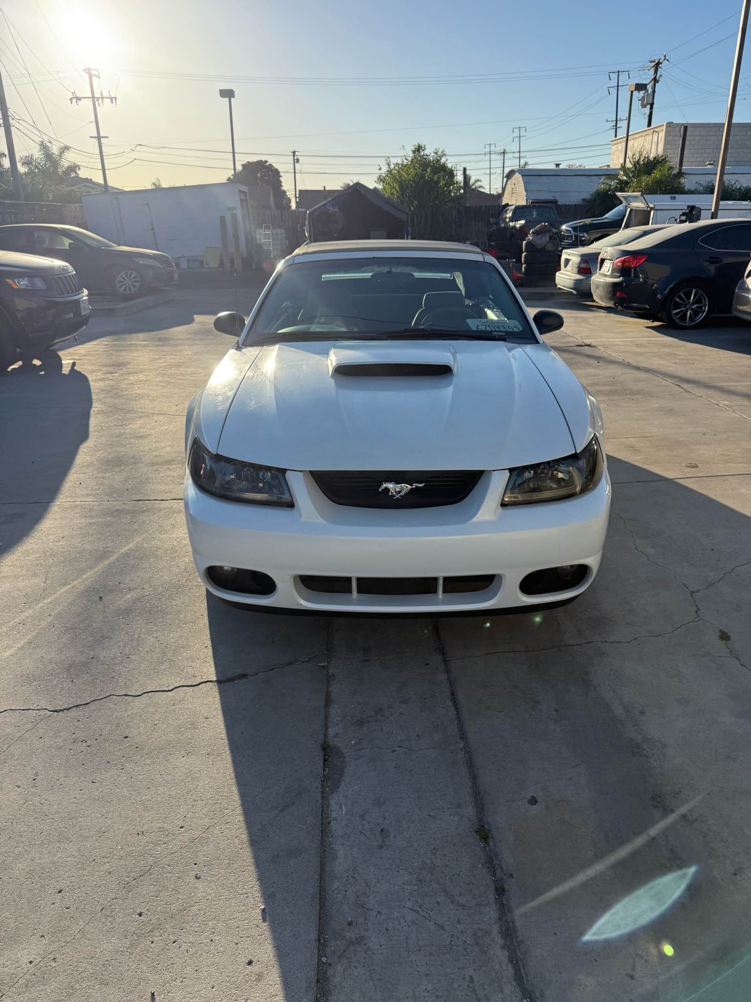 2000 Ford Mustang - GT Convertible 2D