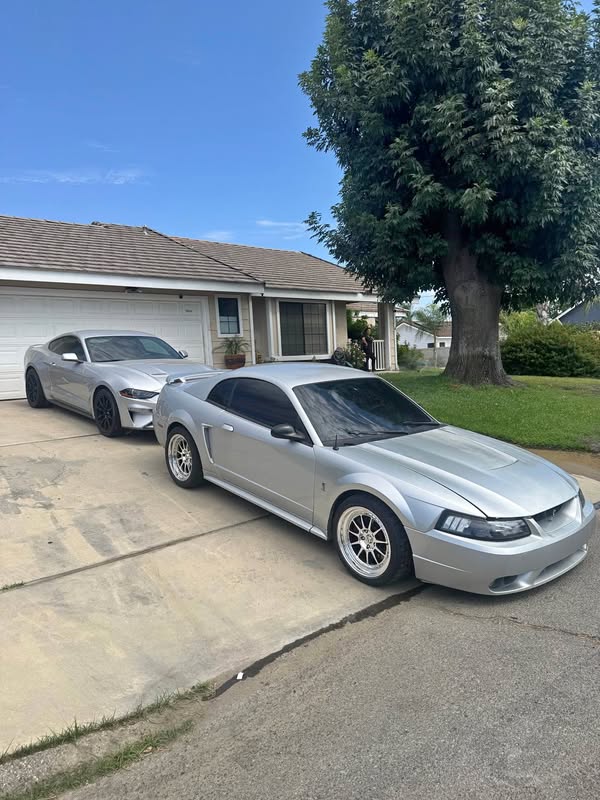 2001 Ford Mustang - Svt Cobra