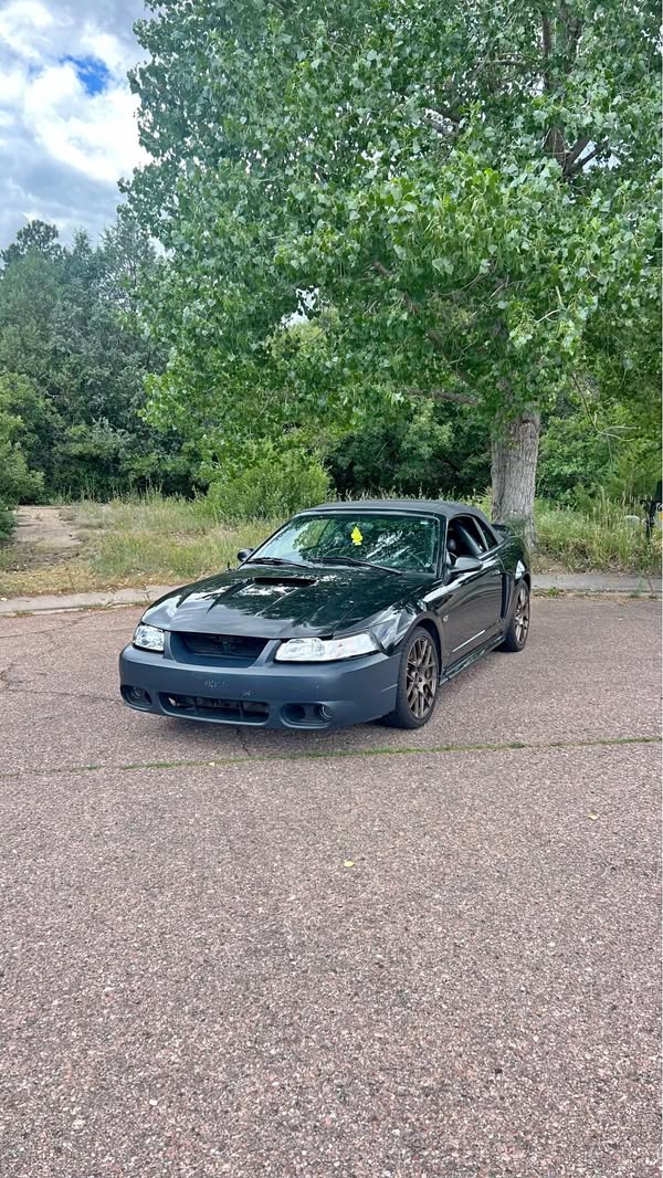 2000 Ford Mustang - GT