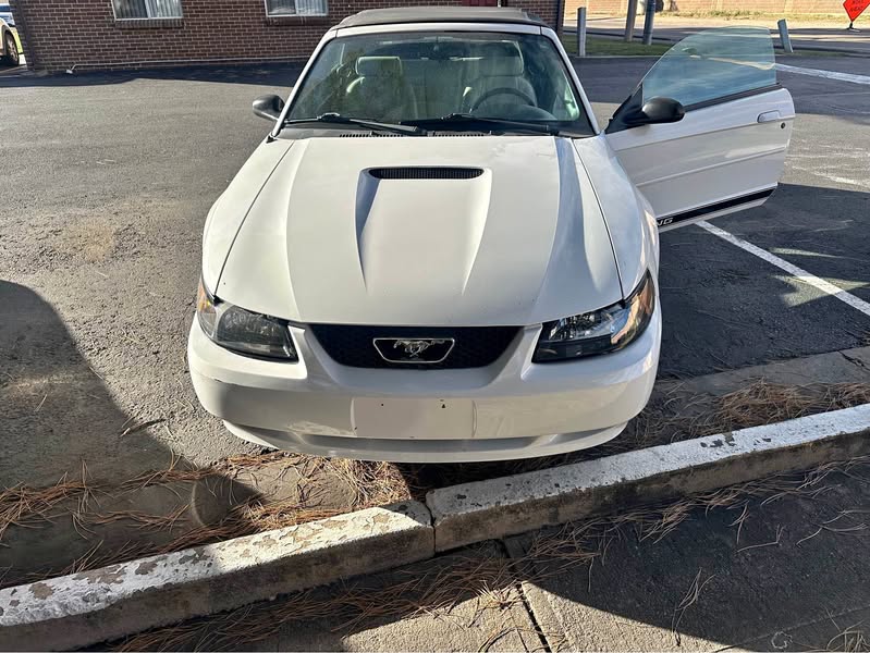 2002 Ford Mustang - Coupe 2D