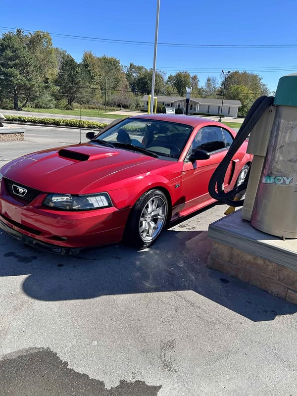 2001 Ford Mustang - GT Coupe 2D