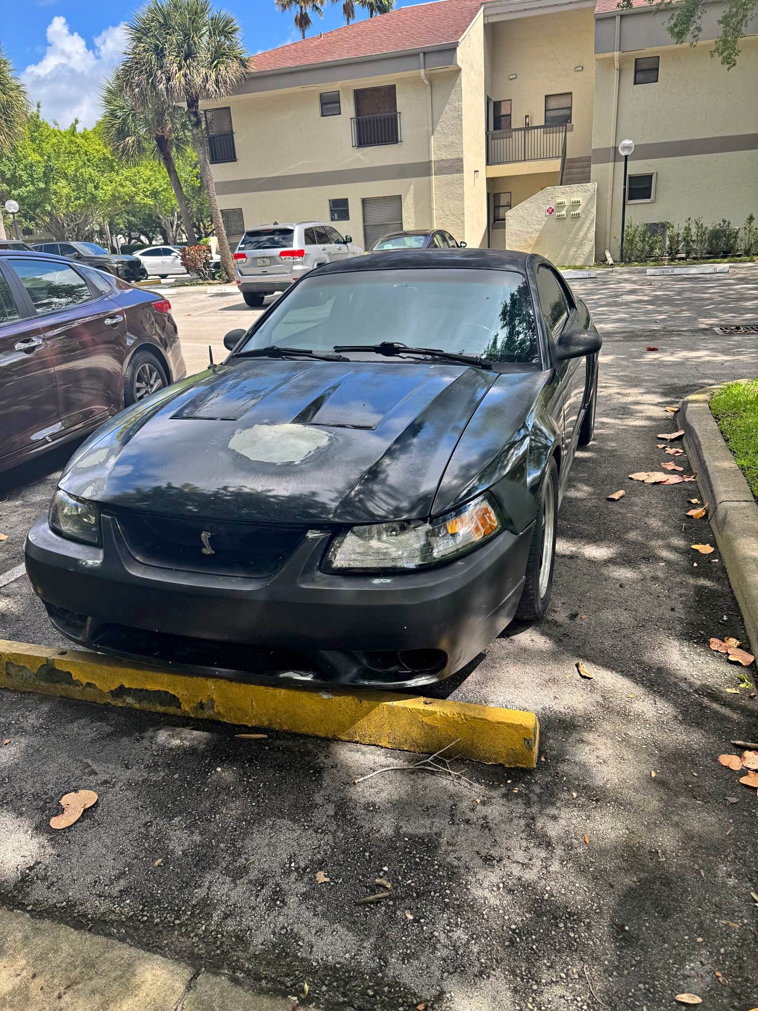 1999 Ford Mustang - Gt