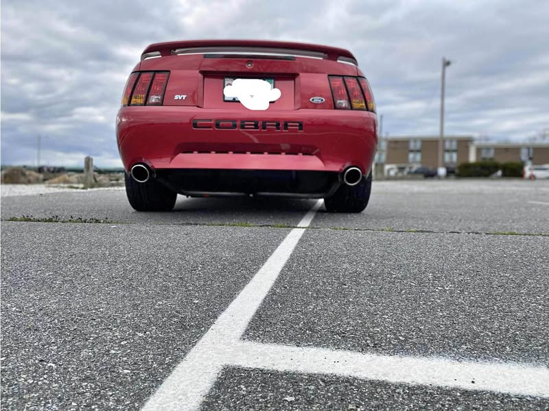 2001 Ford Mustang - Cobra Convertible 2D