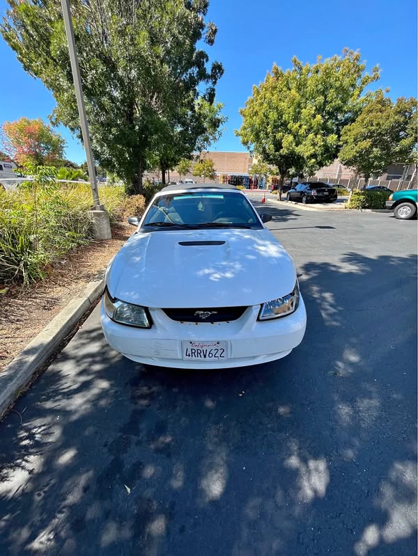 1999 Ford Mustang - GT Convertible