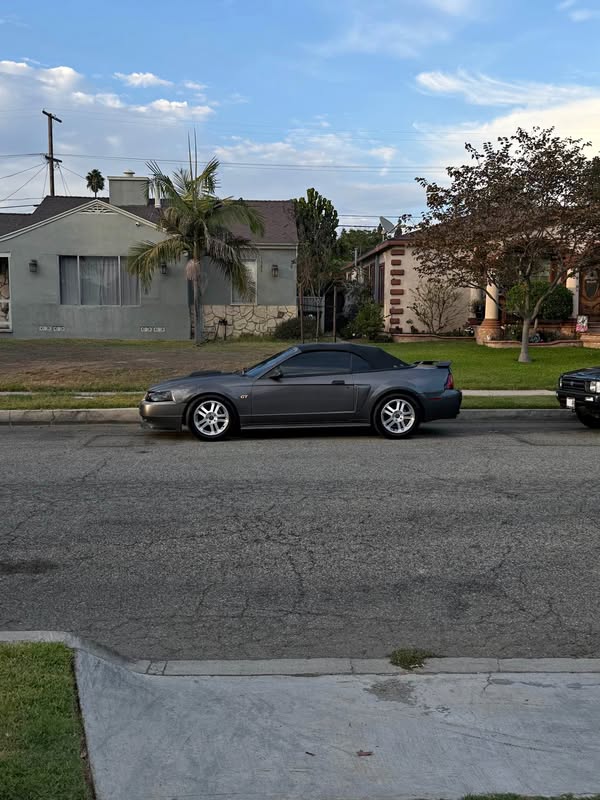 2003 Ford Mustang - GT Convertible 2D